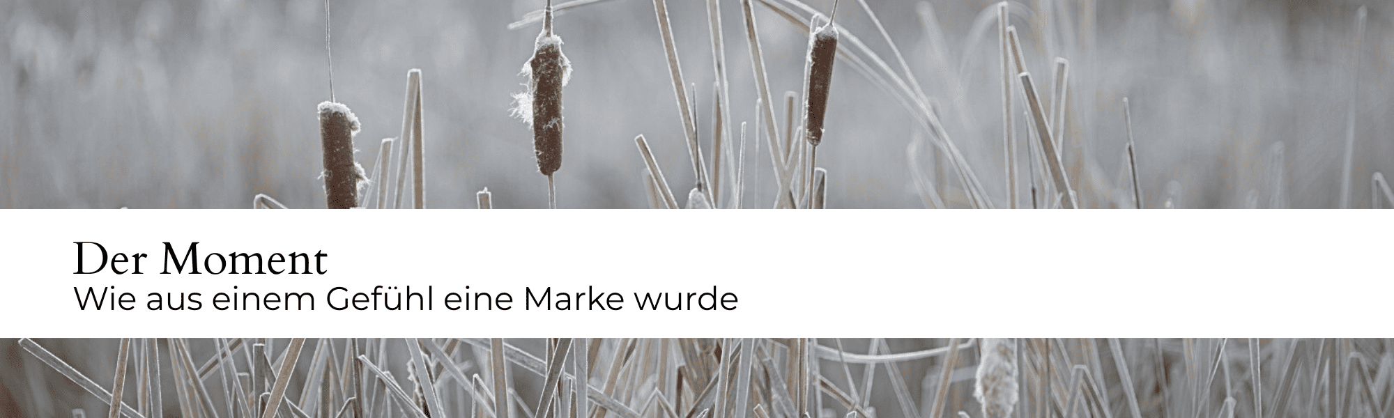 Der Moment Raureif Desktop.png