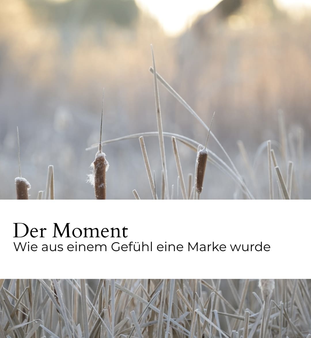 Der Moment raureif.png