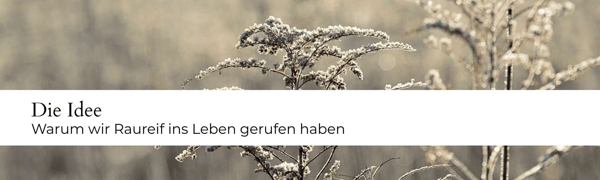 Die Idee Raureif Desktop.png